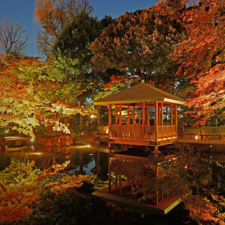 現地案内図 image photo