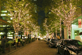 丸の内イルミネーション1